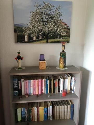 Ferienwohnung Graupner Schwarzenberg  Exteriör bild